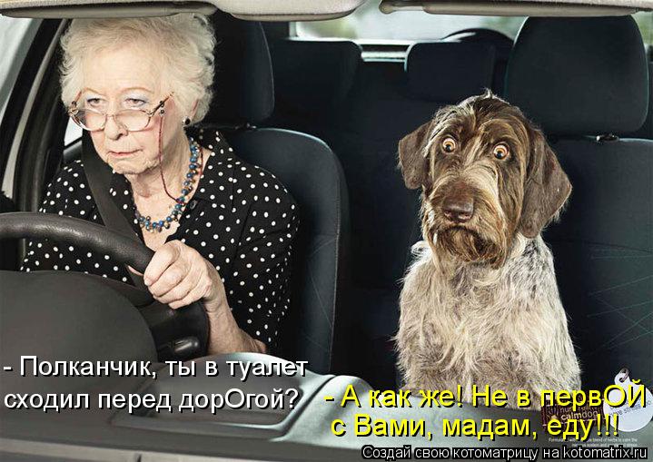 - Полканчик, ты в туалет сходил перед дорОгой? - А как же! Не в первОЙ с Вами, мадам, еду!!!... Котоматрица: - Полканчик, ты в туалет сходил перед дорОгой? - А как же! Не в первОЙ с Вами, мадам, еду!!!