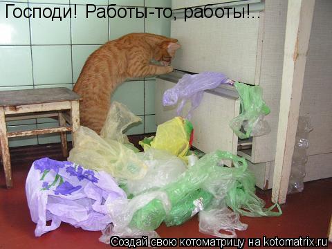 Котоматрица: Господи! Работы-то, работы!..