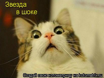 Котоматрица: Звезда  в шоке
