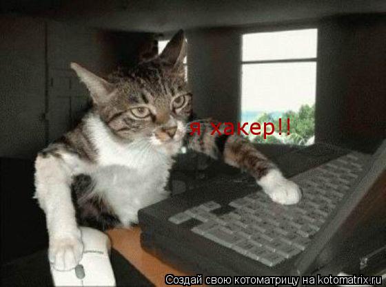 Котоматрица: я хакер!!