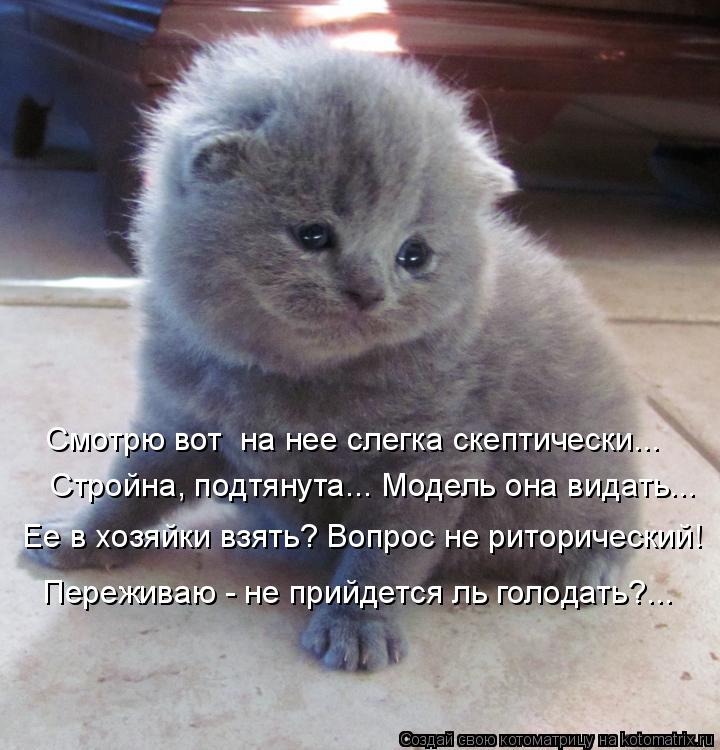 Смотрю вот на нее слегка скептически... Стройна, подтянута... Модель она видать... Ее в хозяйки взят... Котоматрица: Смотрю вот на нее слегка скептически... Стройна, подтянута... Модель она видать... Ее в хозяйки взять? Вопрос не риторический! Переживаю - не пр