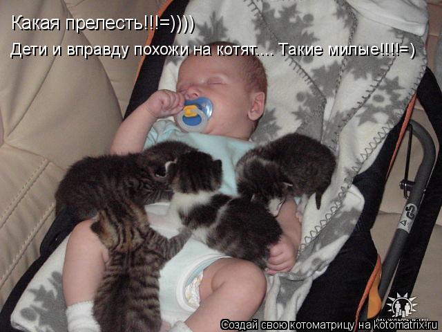 Котоматрица: Какая прелесть!!!=))))  Дети и вправду похожи на котят.... Такие милые!!!!=)