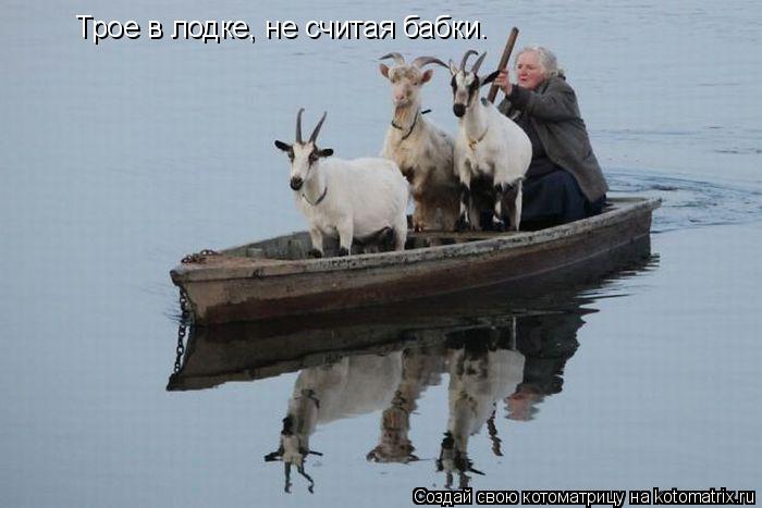 Котоматрица: Трое в лодке, не считая бабки.