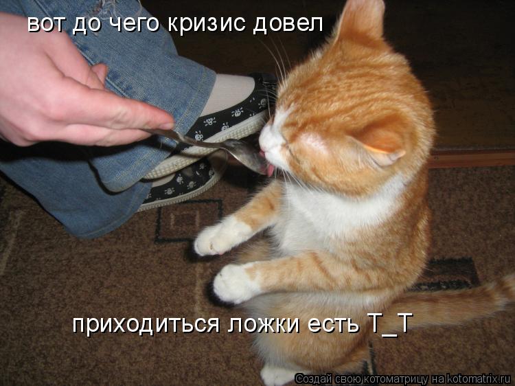 Котоматрица: вот до чего кризис довел приходиться ложки есть Т_Т