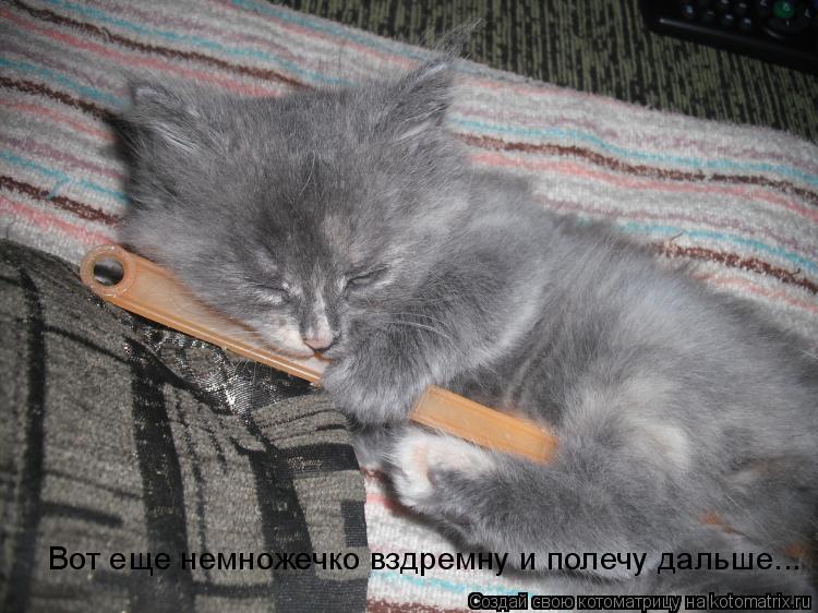 Котоматрица: Вот еще немножечко вздремну и полечу дальше...