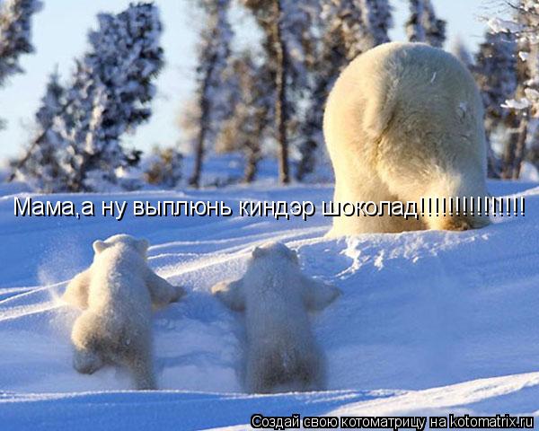 Котоматрица: Мама,а ну выплюнь киндэр шоколад!!!!!!!!!!!!!!!