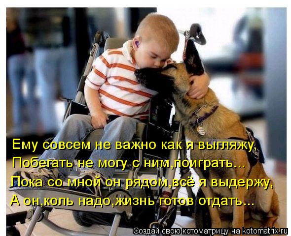 Котоматрица: А он,коль надо,жизнь готов отдать... Пока со мной он рядом,всё я выдержу, Побегать не могу с ним,поиграть... Ему совсем не важно как я выгляжу,