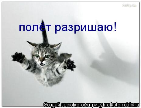 Котоматрица: полёт разришаю!