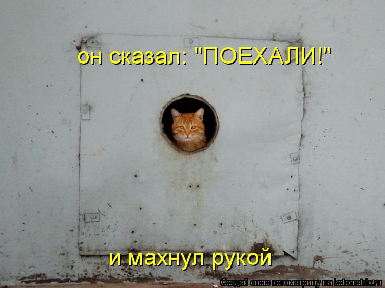 Котоматрица: он сказал: "ПОЕХАЛИ!" и махнул рукой