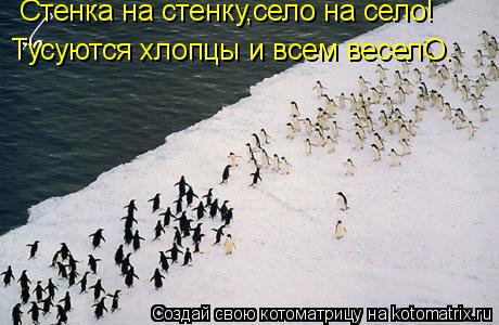 Котоматрица: Стенка на стенку,село на село!  Тусуются хлопцы и всем веселО.