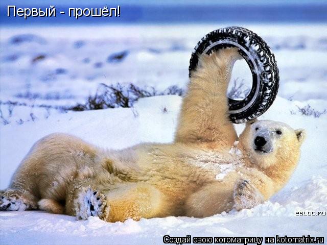 Котоматрица: Первый - прошёл!