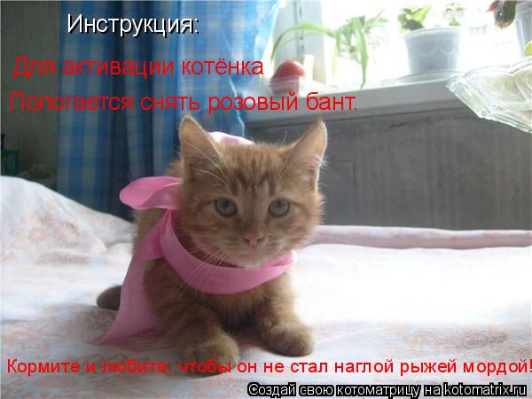 Котоматрица: Для активации котёнка Инструкция: Пологается снять розовый бант. Кормите и любите, чтобы он не стал наглой рыжей мордой!!!