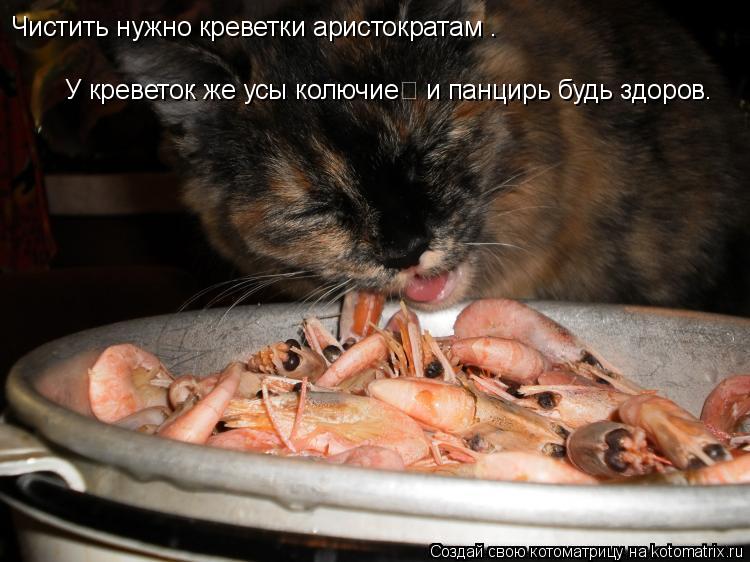 Котоматрица: Чистить нужно креветки аристократам .  У креветок же усы колючие&#65279; и панцирь будь здоров.