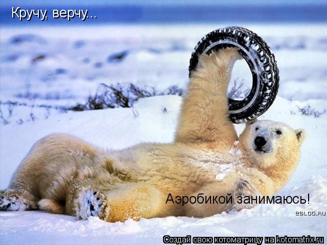 Котоматрица: Кручу, верчу... Аэробикой занимаюсь!