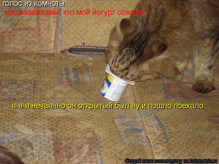 Котоматрица: голос из комноты: маааааааааам! кто мой йогурт сожрал? я-я-я нечаянно он открытый был ну и пошло поехало...