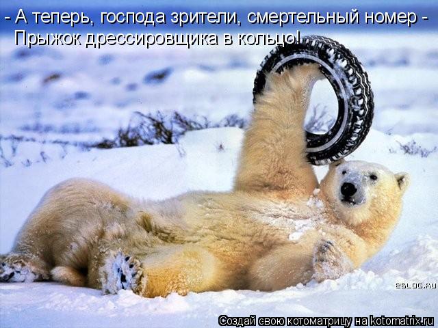 Котоматрица: - А теперь, господа зрители, смертельный номер - Прыжок дрессировщика в кольцо!