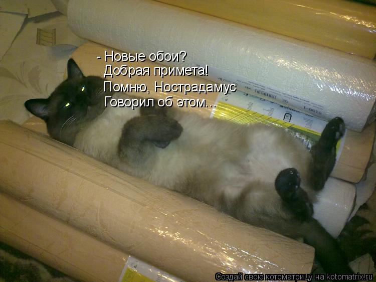 Котоматрица: - Новые обои? Добрая примета! Помню, Нострадамус Говорил об этом...