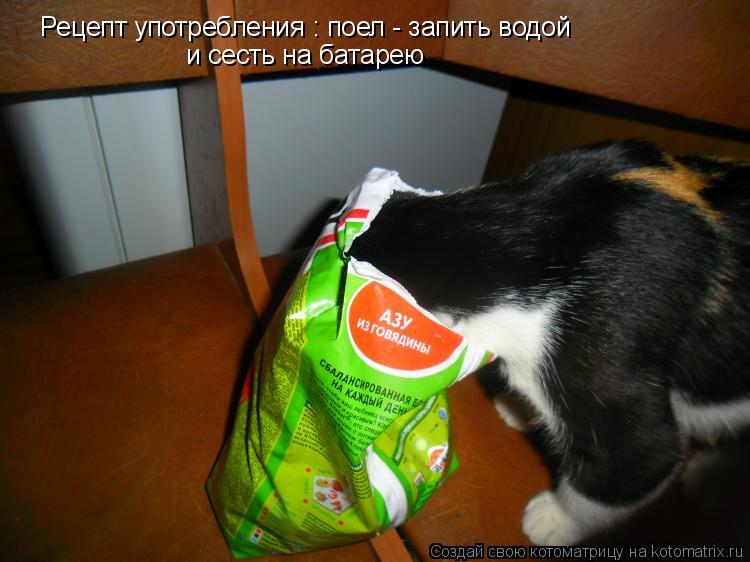 Котоматрица: Рецепт употребления : поел - запить водой и сесть на батарею