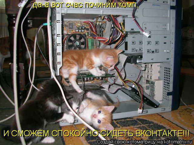 Котоматрица: да-а вот счас починим комп,  И СМОЖЕМ СПОКОЙНО СИДЕТЬ ВКОНТАКТЕ!!!