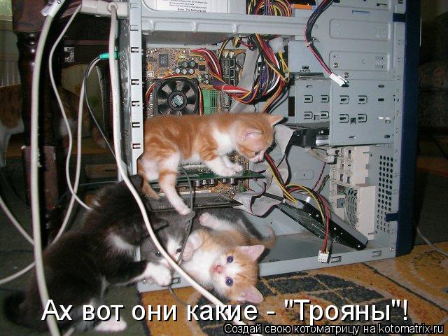 Котоматрица: Ах вот они какие - "Трояны"!