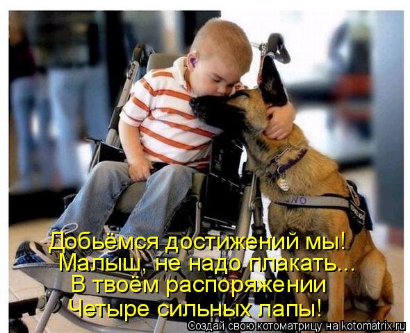 Четыре сильных лапы! В твоём распоряжении Добьёмся достижений мы! Малыш, не надо плакать...... Котоматрица: Четыре сильных лапы! В твоём распоряжении Добьёмся достижений мы! Малыш, не надо плакать...