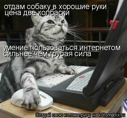 Котоматрица: отдам собаку в хорошие руки цена две колбаски умение пользоваться интернетом сильнее чем грубая сила