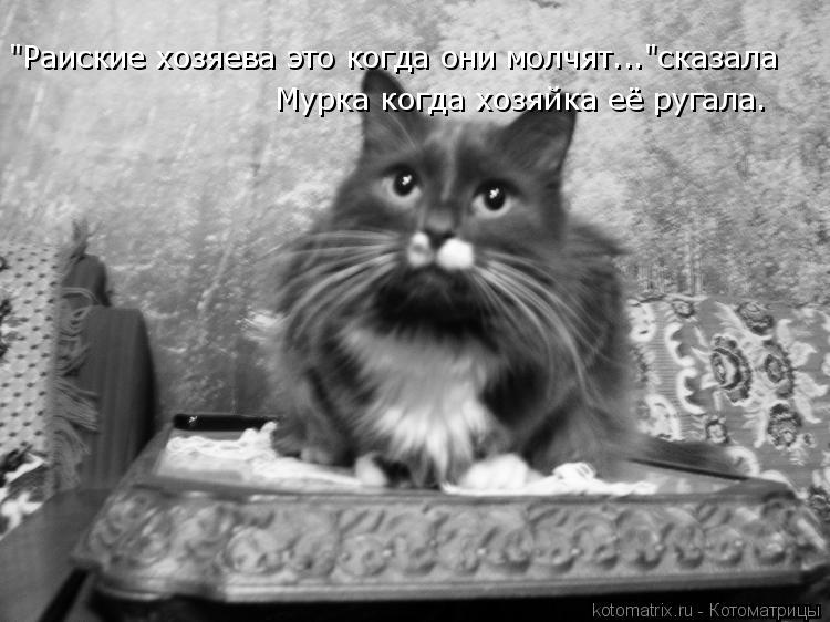 Котоматрица: "Раиские хозяева это когда они молчят..."сказала  Мурка когда хозяйка её ругала.