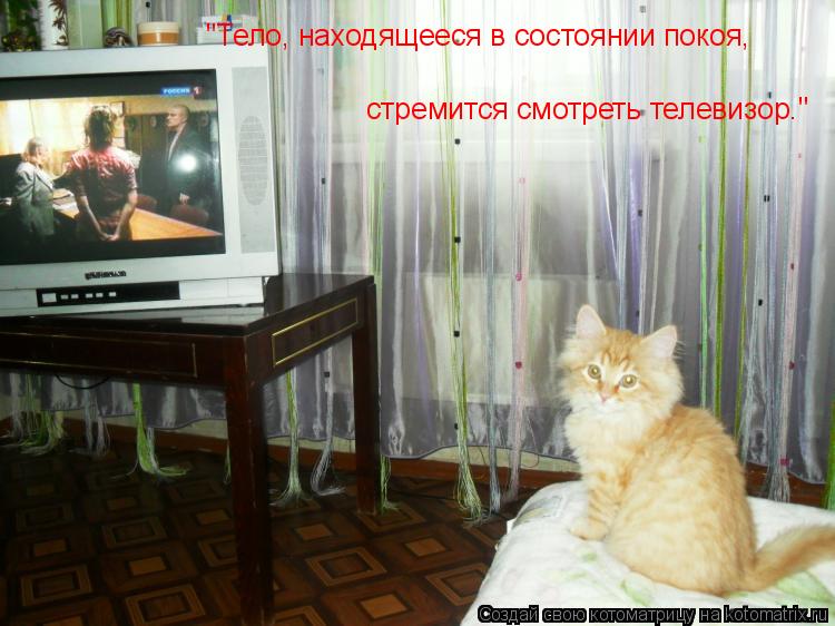 Котоматрица: "Тело, находящееся в состоянии покоя,  стремится смотреть телевизор."