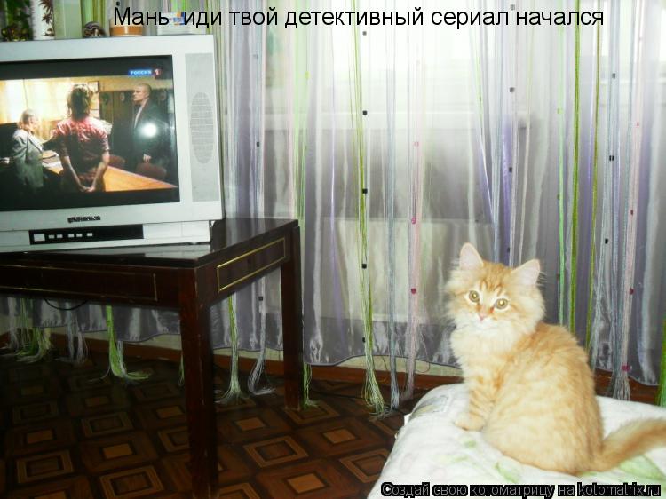Котоматрица: Мань  иди твой детективный сериал начался