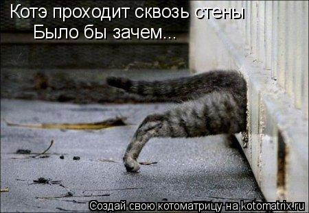 Котоматрица: Котэ проходит сквозь стены Было бы зачем...