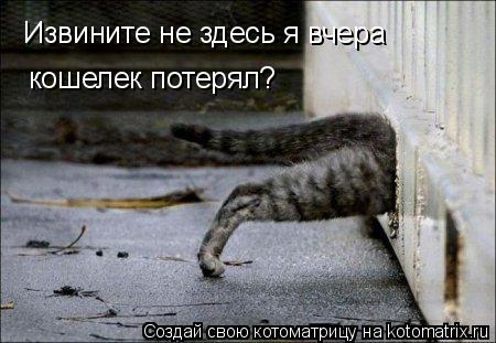 Котоматрица: Извините не здесь я вчера  кошелек потерял?