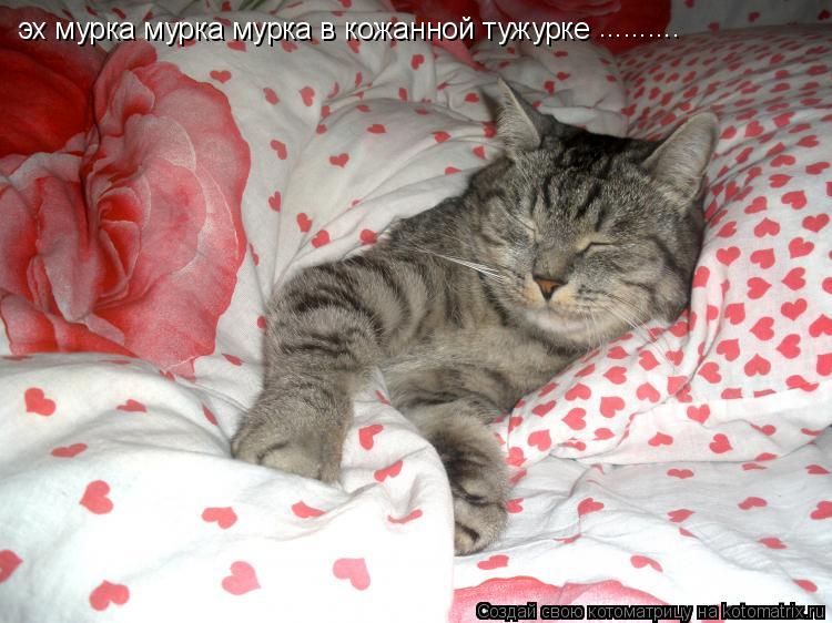 Котоматрица: эх мурка мурка мурка в кожанной тужурке ..........