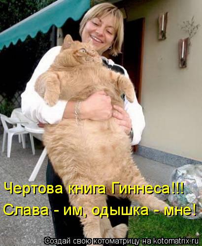 Котоматрица: Чертова книга Гиннеса!!! Слава - им, одышка - мне!