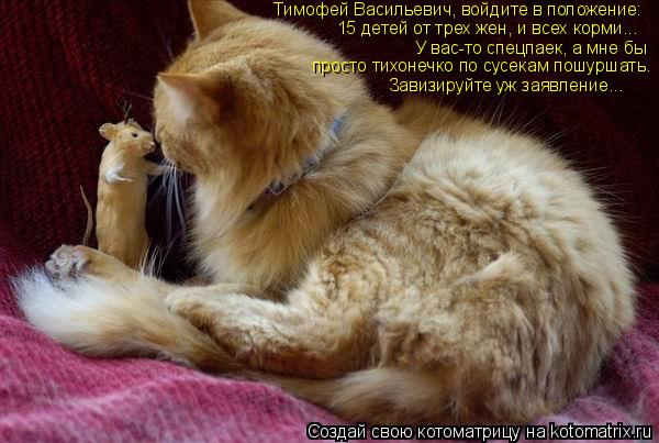Тимофей Васильевич, войдите в положение: 15 детей от трех жен, и всех корми... У вас-то спецпаек, а м... Котоматрица: Тимофей Васильевич, войдите в положение: 15 детей от трех жен, и всех корми... У вас-то спецпаек, а мне бы просто тихонечко по сусекам пошуршать