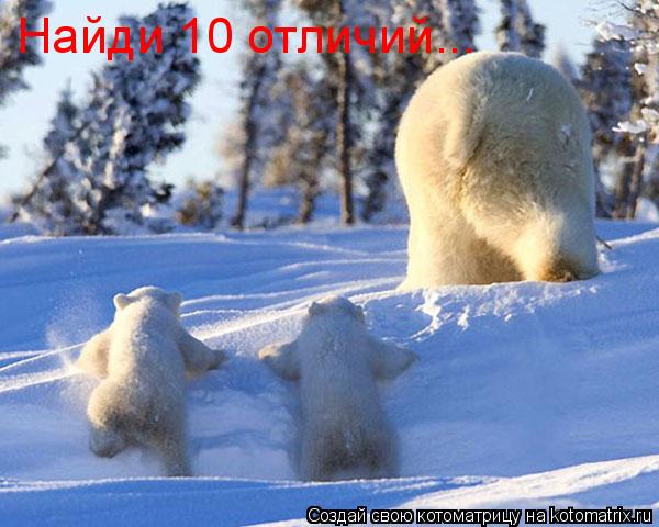 Котоматрица: Найди 10 отличий...
