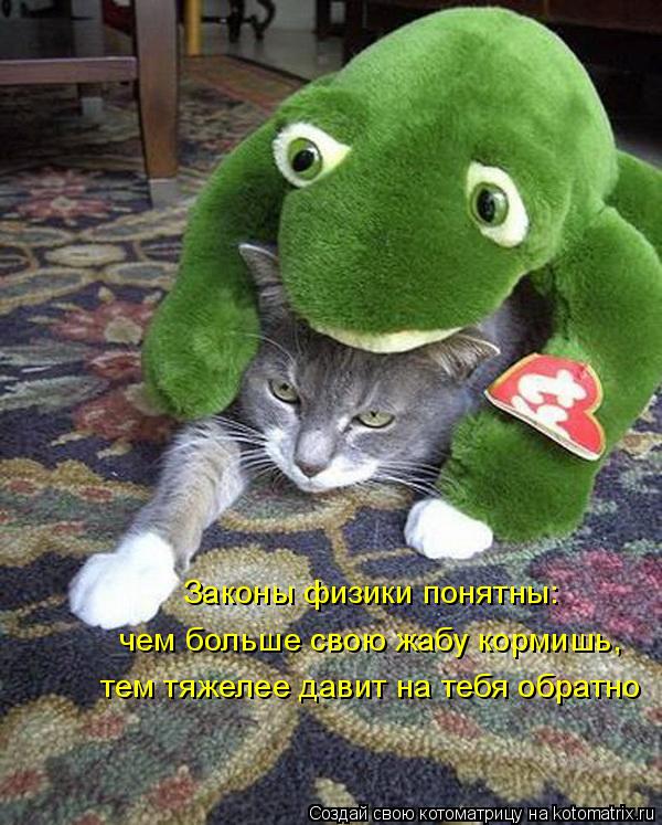 Законы физики понятны: чем больше свою жабу кормишь, тем тяжелее давит на тебя обратно... Котоматрица: Законы физики понятны: чем больше свою жабу кормишь, тем тяжелее давит на тебя обратно