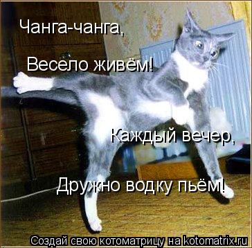 Котоматрица: Чанга-чанга, Весело живём! Каждый вечер, Дружно водку пьём!