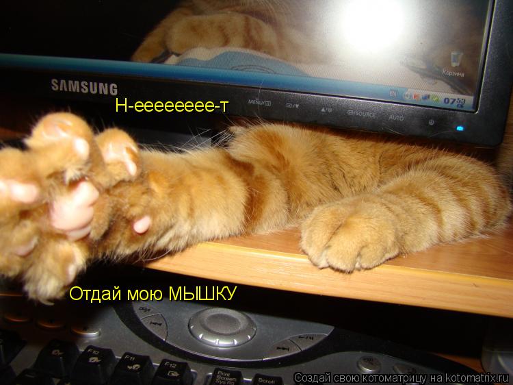 Котоматрица: Н-ееееееее-т Отдай мою МЫШКУ