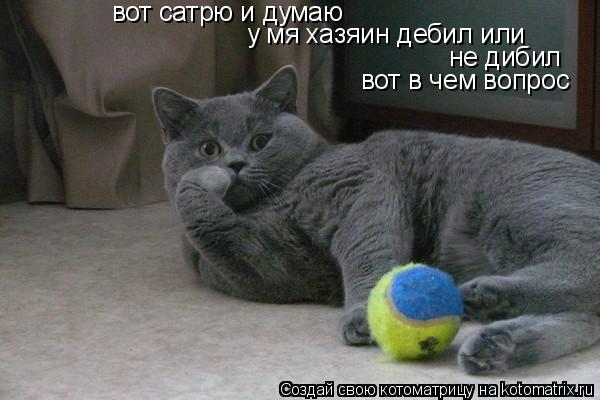 Котоматрица: вот сатрю и думаю у мя хазяин дебил или  не дибил вот в чем вопрос