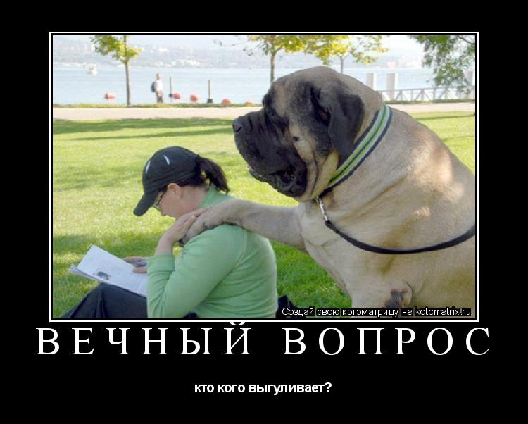 Котоматрица: вечный вопрос кто кого выгуливает?