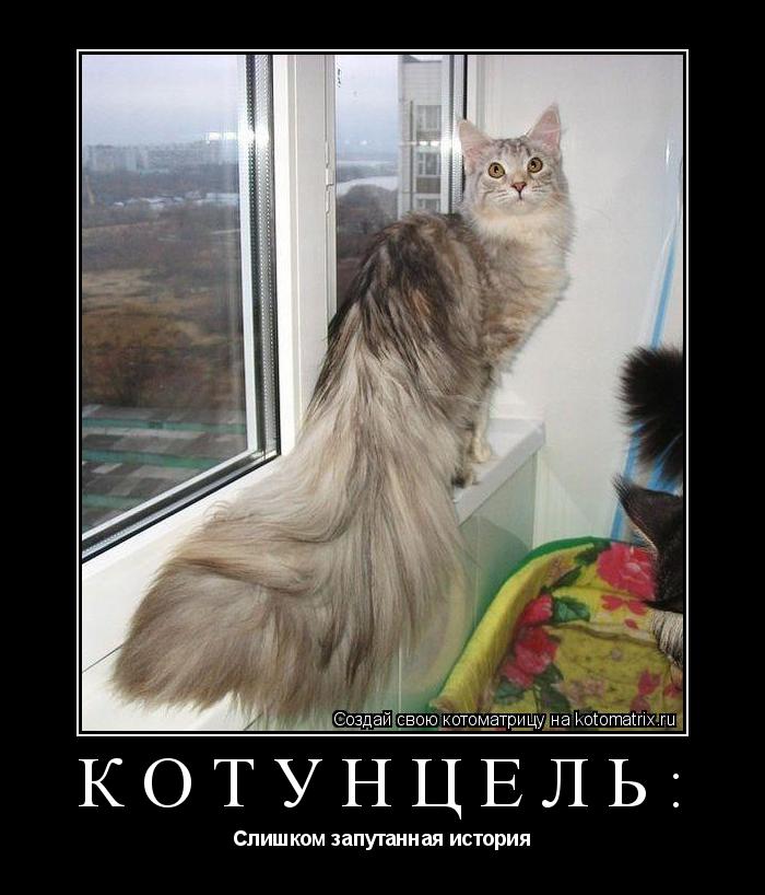 Котоматрица: Котунцель: Слишком запутанная история