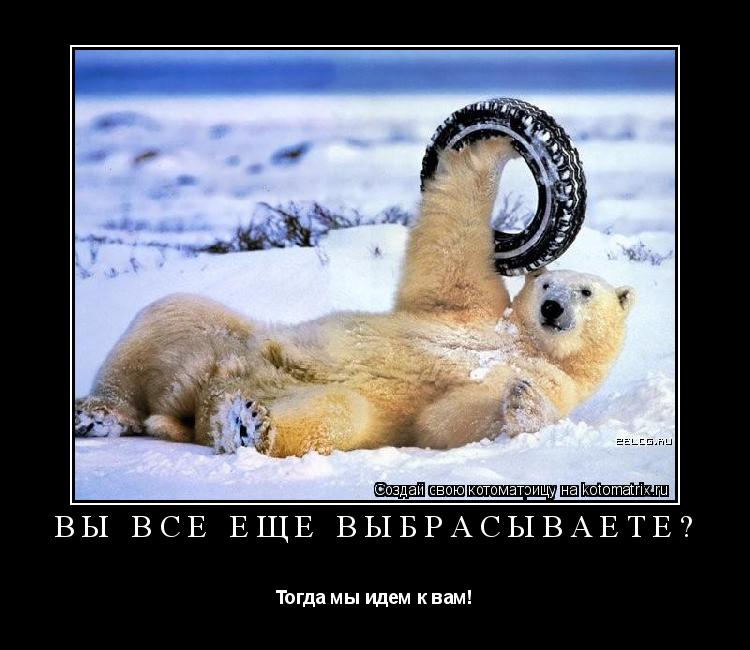 Котоматрица: вы все еще выбрасываете? Тогда мы идем к вам!