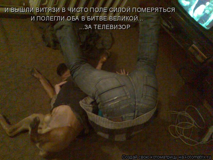 Котоматрица: И ВЫШЛИ ВИТЯЗИ В ЧИСТО ПОЛЕ СИЛОЙ ПОМЕРЯТЬСЯ И ПОЛЕГЛИ ОБА В БИТВЕ ВЕЛИКОЙ... ...ЗА ТЕЛЕВИЗОР