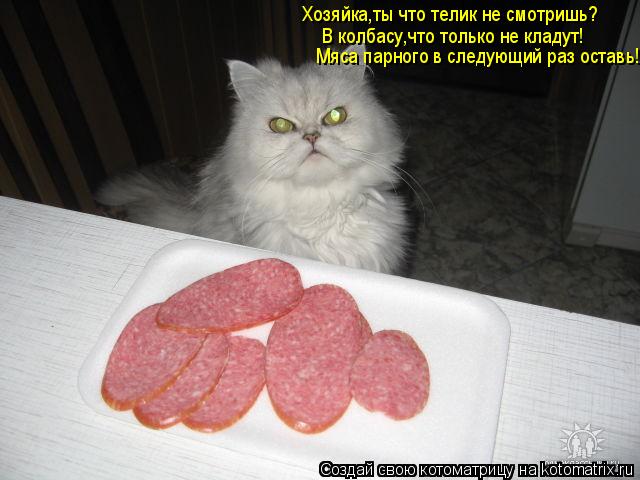 Котоматрица: Хозяйка,ты что телик не смотришь? В колбасу,что только не кладут! Мяса парного в следующий раз оставь!!!