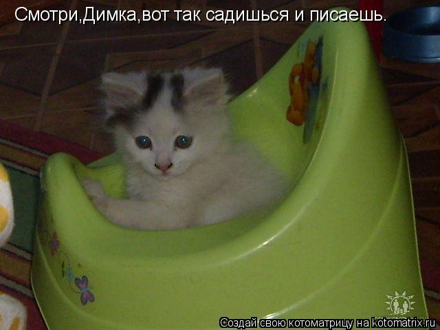 Котоматрица: Смотри,Димка,вот так садишься и писаешь.