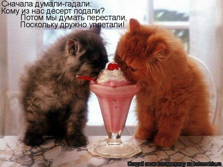 Котоматрица: Сначала думали-гадали: Кому из нас десерт подали? Потом мы думать перестали, Поскольку дружно уплетали!