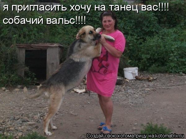 я пригласить хочу на танец вас!!!! собачий вальс!!!!... Котоматрица: я пригласить хочу на танец вас!!!! собачий вальс!!!!