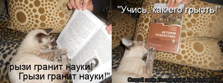 Котоматрица: "Грызи гранит науки! Грызи гранит науки!" "Учись, как его грызть!"