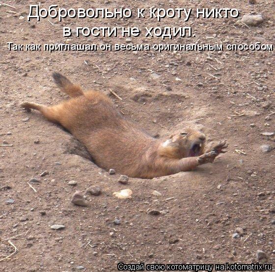 Так как приглашал он весьма оригинальным способом. Добровольно к кроту никто в гости не ходил.... Котоматрица: Так как приглашал он весьма оригинальным способом. Добровольно к кроту никто в гости не ходил.