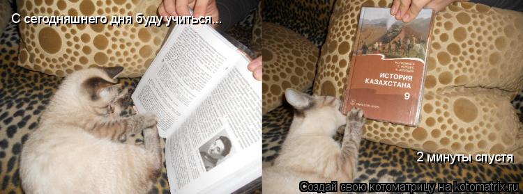 Котоматрица: С сегодняшнего дня буду учиться... 2 минуты спустя